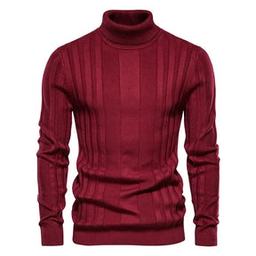 Suéter Masculino Dilam Forth